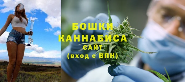 PSILOCYBIN Верея