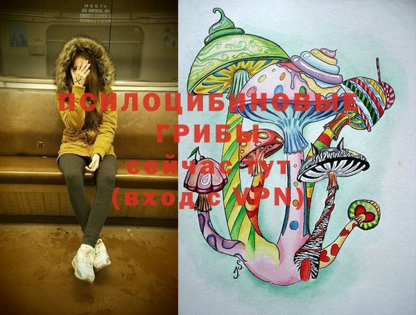 ECSTASY Верхний Тагил