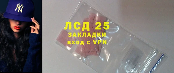 PSILOCYBIN Верея