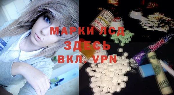 PSILOCYBIN Верея