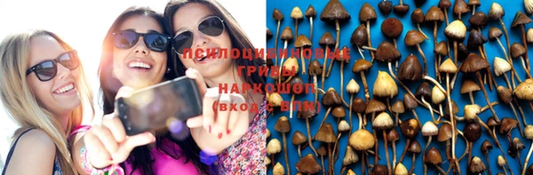 PSILOCYBIN Верея