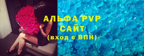 PSILOCYBIN Верея