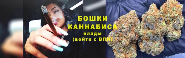 PSILOCYBIN Верея